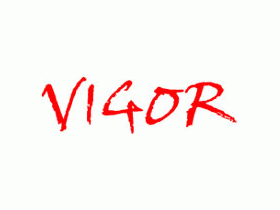 Производитель катеров «VIGOR»