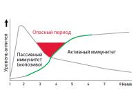 Заменитель цельного молока «Милки Стар»