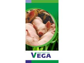 Белково-витаминно-минеральный концентрат БМВК для свиней
