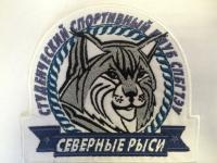 Вышивка шевронов и нашивок для спортивных команд.