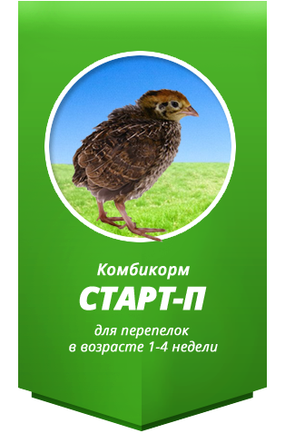 Корм Для Перепелов Интернет Магазин