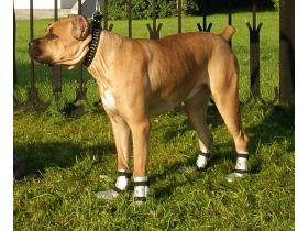 Защитные ботинки для собак «4-RUNNER»