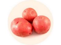 Картофель сорт Романце