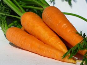 Свежая натуральная морковь