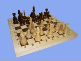Шахматы обиходные, гроссмейстерские
