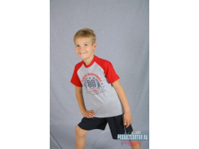 Футболка и шорты для мальчика LEAGUE CHAMPIONS