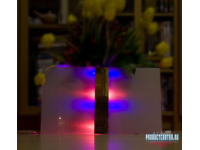 Декоративный светодиодный светильник Relax 14