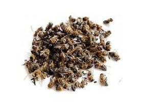 Пчелиные материалы для апитарапии