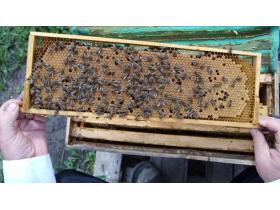 Рамки пчеловодческие с ограничителями