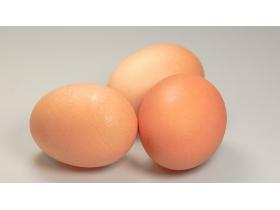 Яйцо куриное диетическое и столовое