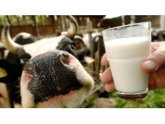Фото 1 Молоко натуральное коровье, г.Выкса 2017