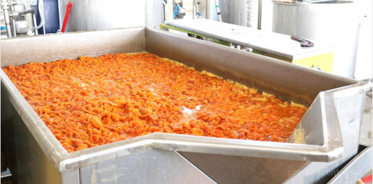 Фото 10 Подготовка ягоды к производству абрикосового варенья Линия Здоровья