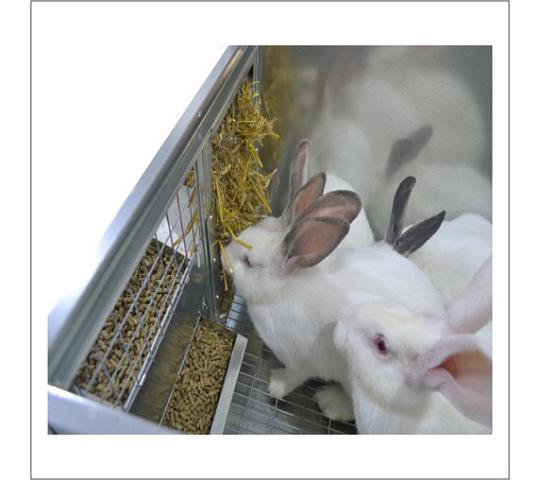 Фото 3 Клетки для кроликов, г.Лобня 2017