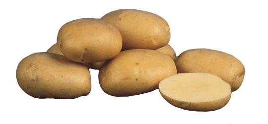 Фото 3 Продовольственный картофель на вес, г.Гатчина 2018