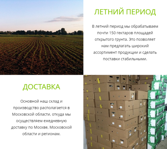 Фото 4 Производитель свежей зелени «Лето», г.Москва