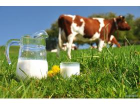 Молоко коровье на вес