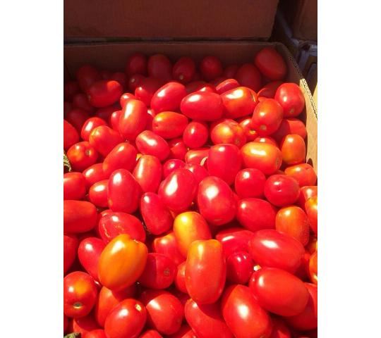 Купить томаты от производителя. Сорт помидор Саратовские.