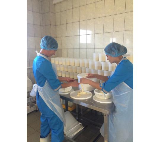 Фото 17 Производитель сыра «Провиант», г.Уссурийск