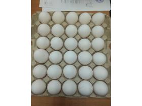 Яйца куриные пищевые столовые по ГОСТ 31654-2012