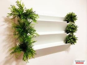 Стена из растений