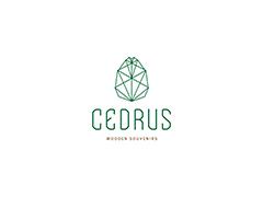 «CEDRUS» - производственная компания