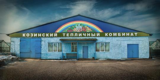 Фото 5 «Козинский тепличный комбинат», г.Смоленск