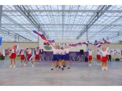 Тепличный комбинат «Ярославский» завершил строительство зимних теплиц Тепличный комбинат «Ярославский» завершил строительство зимних теплиц