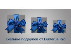 Акция BuderusPRO: больше баллов за установленное оборудование Акция BuderusPRO: больше баллов за установленное оборудование