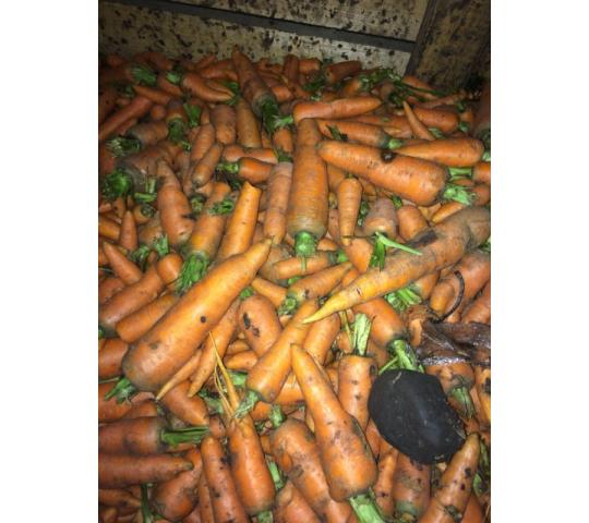 Фото 2 Морковь лом, мытая на переработку, г.Кемерово 2019