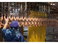 Первая партия отечественной птицеводческой продукции отправлена в Китай Первая партия отечественной птицеводческой продукции отправлена в Китай