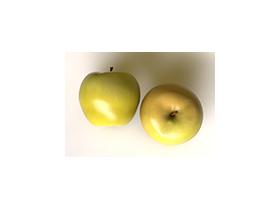 Яблоки сорта Голден Рейндерс