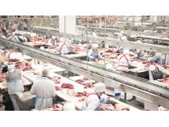 РФ получила право на экспорт молочной продукции, говядины и говяжьих субпродуктов в Алжир РФ получила право на экспорт молочной продукции, говядины и говяжьих субпродуктов в Алжир