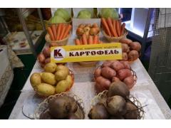 Новое овощехранилище заработало в Курганской области Новое овощехранилище заработало в Курганской области