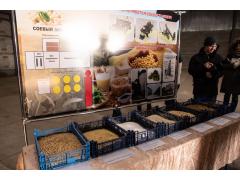 В Саратовской области запущен комплекс по переработке протеиновых культур В Саратовской области запущен комплекс по переработке протеиновых культур