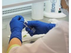 Новый селекционно-генетический центр открылся под Воронежем Новый селекционно-генетический центр открылся под Воронежем