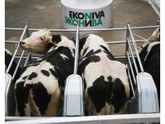 «ЭкоНива» набирает обороты. Плюс 68% «ЭкоНива» набирает обороты. Плюс 68%