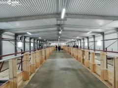 В Якутии открыли новый молочный комплекс на 120 голов КРС В Якутии открыли новый молочный комплекс на 120 голов КРС