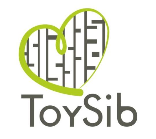 Фото №1 на стенде Производитель развивающих игрушек «ToySib», г.Новосибирск. 457745 картинка из каталога «Производство России».