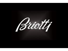 Обувная фабрика «Briotti»