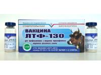Вакцина ЛТФ-130 для профилактики и терапии трихофитоза крупного рогатого скота