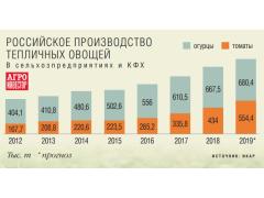 Тепличный рост. Урожай овощей в закрытом грунте превысил 1,2 млн тонн Тепличный рост. Урожай овощей в закрытом грунте превысил 1,2 млн тонн
