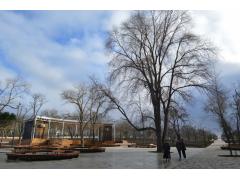 Благоустройство. Парки Севастополя Благоустройство. Парки Севастополя