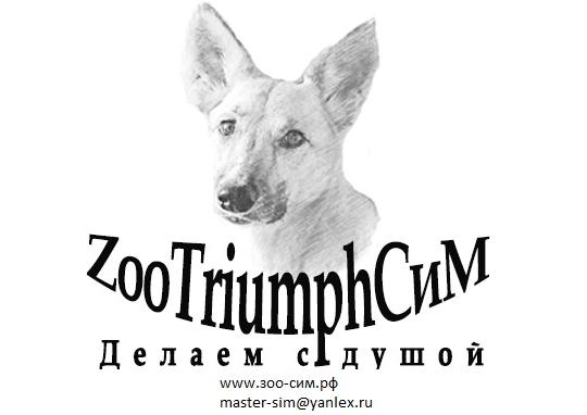 Фото №1 на стенде Фабрика амуниции для собак «ZooTriumphСим», г.Доброе. 469516 картинка из каталога «Производство России».