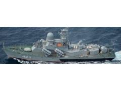 Российский ВМФ в 2019 г. Российский ВМФ в 2019 г.
