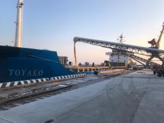 Через приморский порт Зарубино организован экспорт зерновых грузов в Японию Через приморский порт Зарубино организован экспорт зерновых грузов в Японию