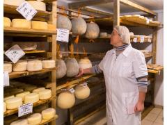 Ремесленные технологии сыроделия в России. Сыроварня Марии Коваль Ремесленные технологии сыроделия в России. Сыроварня Марии Коваль
