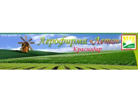 «Агрофирма Лето» ООО