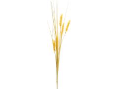 Фото 1 Срез искусственный. Колос пшеницы Рори 2014