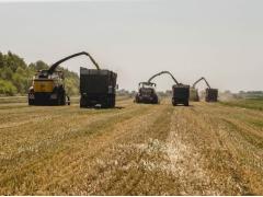 В Курской области собран рекордный урожай зерна В Курской области собран рекордный урожай зерна