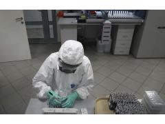 В России создали первую в мире субъединичную вакцину против чумы В России создали первую в мире субъединичную вакцину против чумы